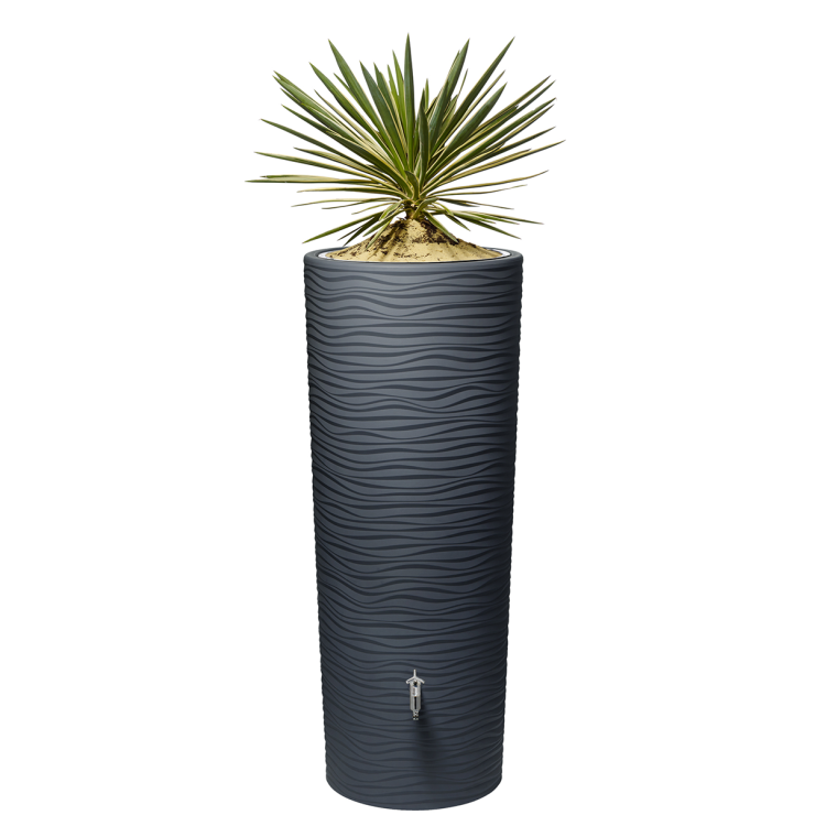 z kwadrat Natura 2w1 15.png